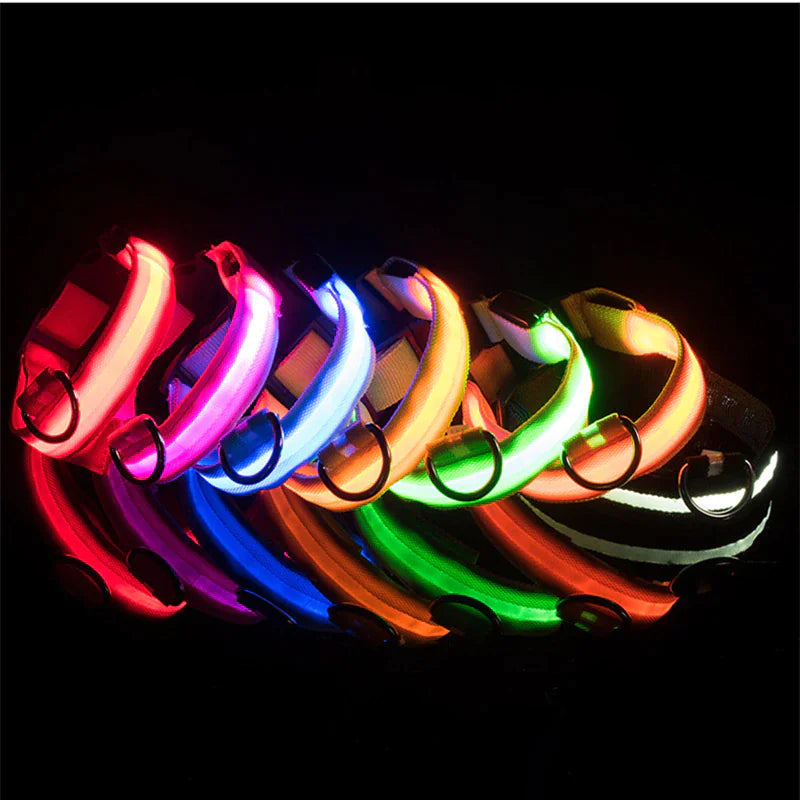 LED Adjustable Dog Collar Blinking Flashing Light Up Glow Pets Safety Waterproof